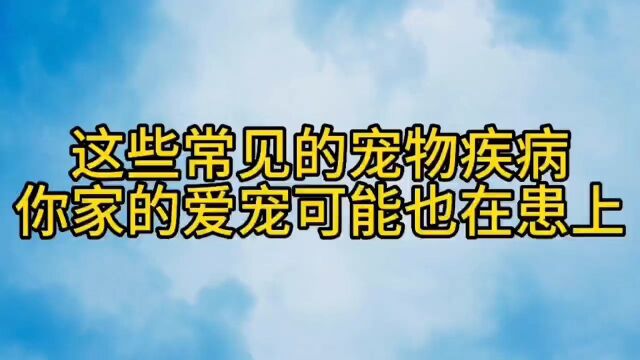 这些常见的宠物疾病,你家的爱宠可能也在患上