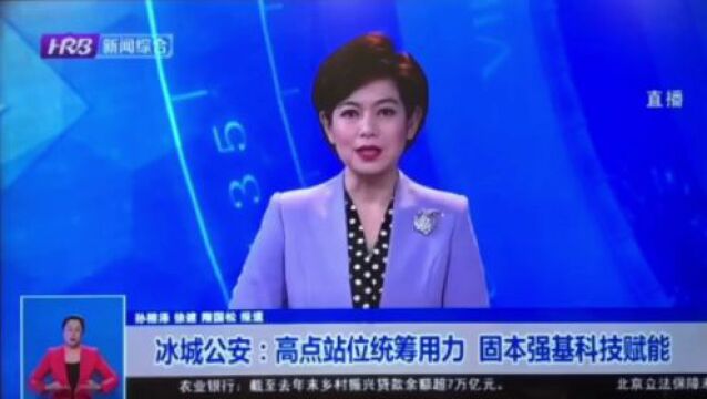 【警方视点】冰城公安:高点站位统筹用力 固本强基科技赋能