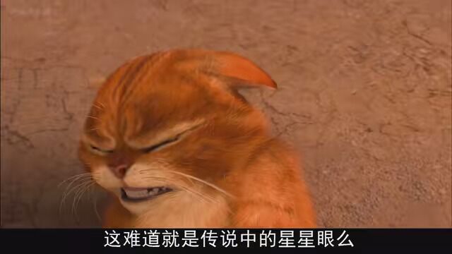 原来制服一个人的必杀技就是卖萌 #快嘴唠唠片 #萌猫三剑客