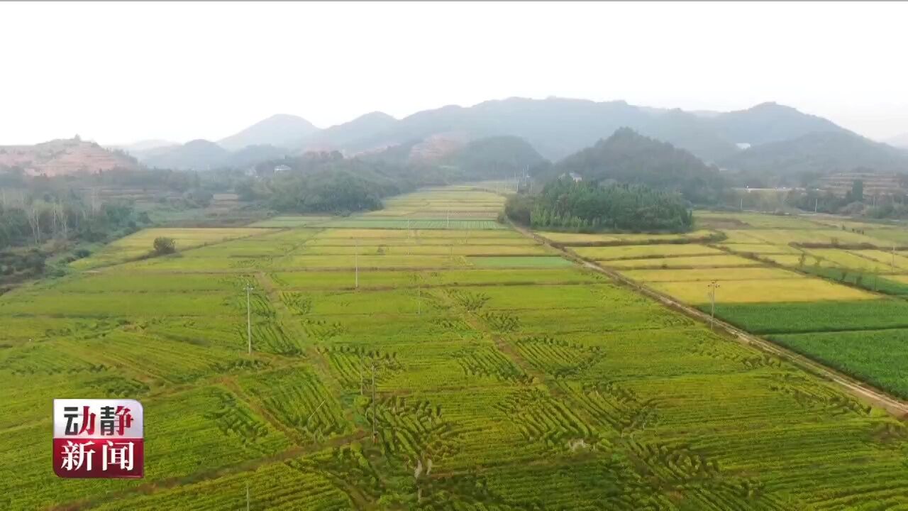 走进浙江看“千万工程”丨这里的乡村旅游留住乡愁留住人