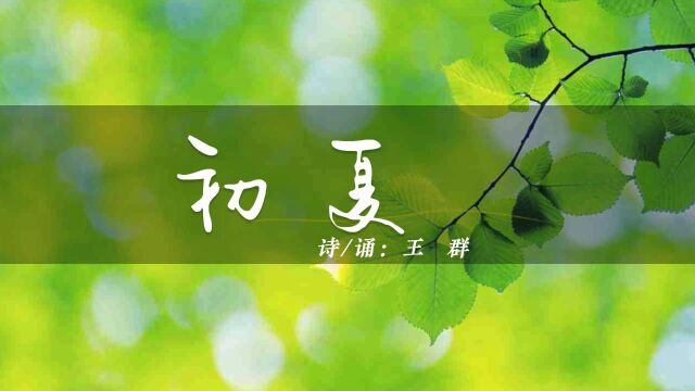 初夏 作者:王群