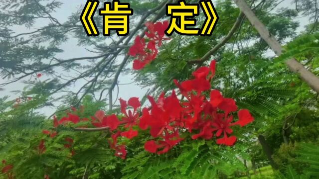 音乐欣赏《肯定》