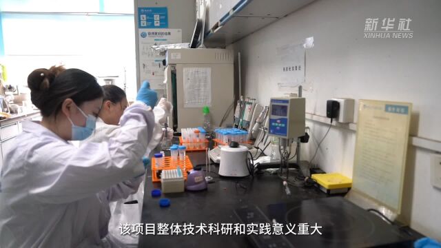 中国专利配方技术助力中国婴配粉应用研究迈向高质量发展之路