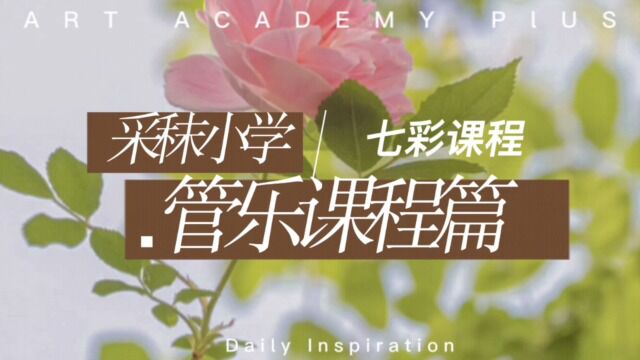 采秣小学七彩课程之管乐课程