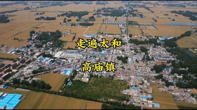 走遍太和乡镇,正好碰到高庙的庙会日,街面上好热闹#美丽乡镇