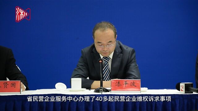 湖南12个市州已成立民营企业服务中心