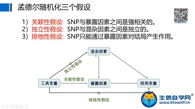 课程试学孟德尔随机化分析生信套路视频(Mendelian randomization/MR)