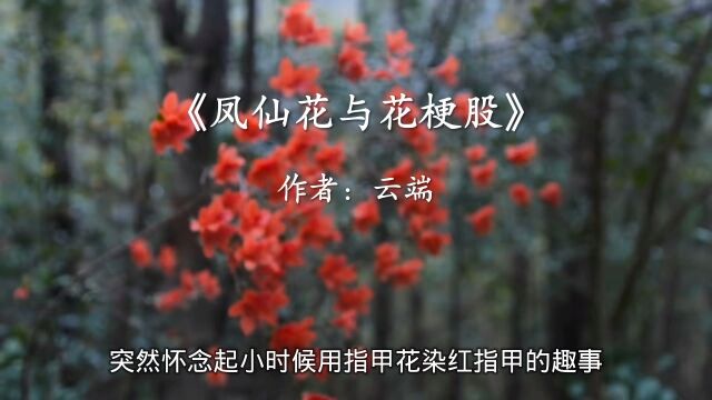 《凤仙花和花梗股》