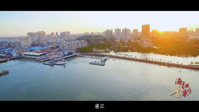 海红香米宣传片2