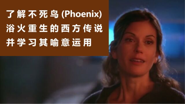 了解不死鸟 Phoenix 浴火重生的西方传说并学习其喻意运用