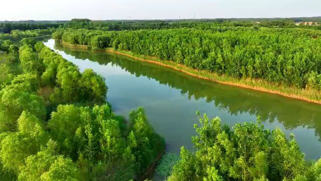 山东省菏泽市东明黄河国家湿地公园——鹭之洲