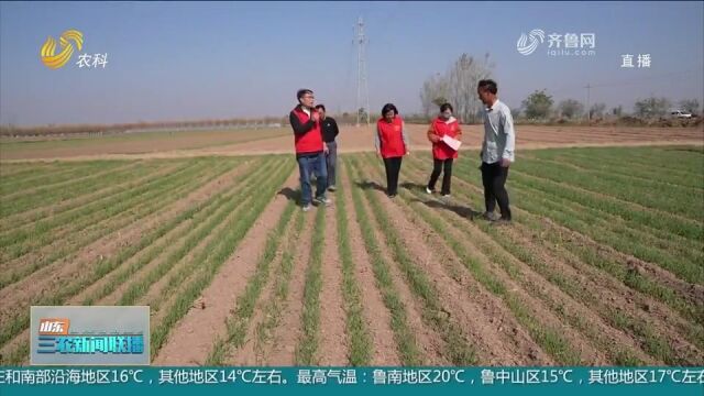 山东秋种基本完成,农技人员走进田间地头,指导农户实施田间管护