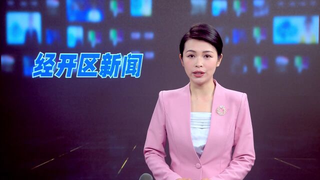 岳阳经开区:“三个一”为企业破解重大安全隐患