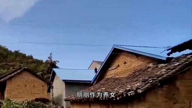 丽丽遭遇家庭财产纠纷:该如何维护自己的权益