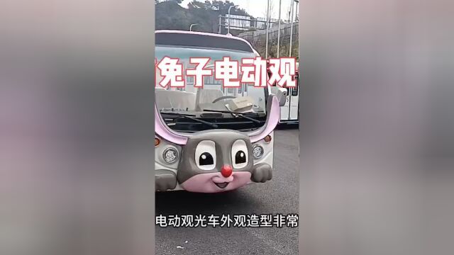 四川重庆云南贵州超萌卡通电动旅游观光车,开启环保精彩之旅!