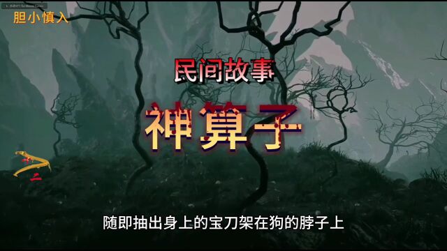 神算子 鬼故事 恐怖故事 民间故事 民间异事怪谈