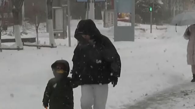 内蒙古赤峰:中小学、幼儿园今日放假一天