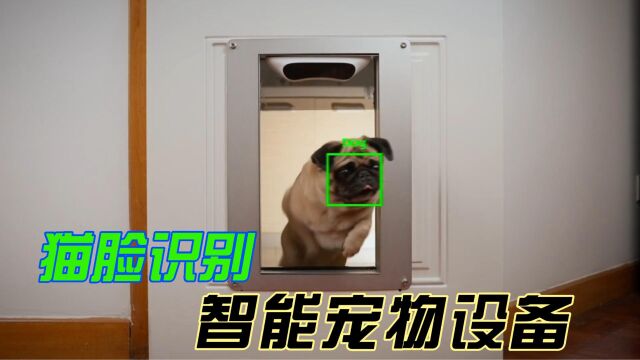 宠物也可以面部识别?这款智能猫脸识别门你觉得有用吗?