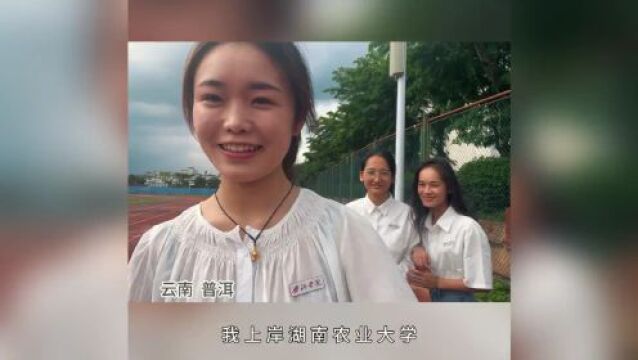 8人全部考研“上岸”!普洱学院这个宿舍的女生太励志……