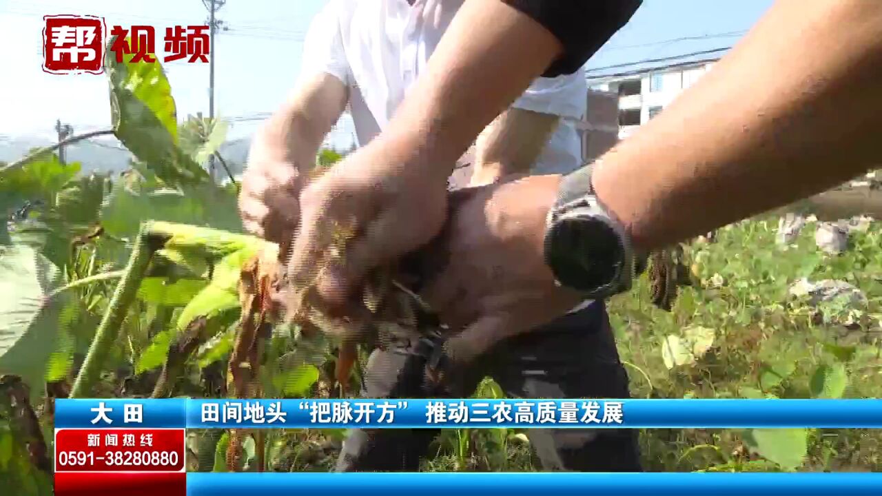 精细化管理!农技人员深入田间“把脉开方” 指导农户科学种植