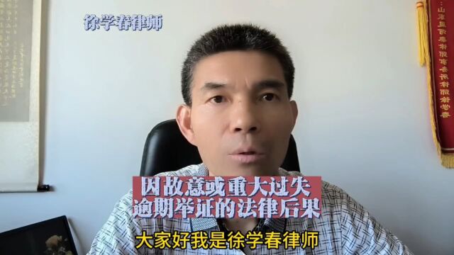 因故意或重大过失,逾期举证的法律后果是什么?