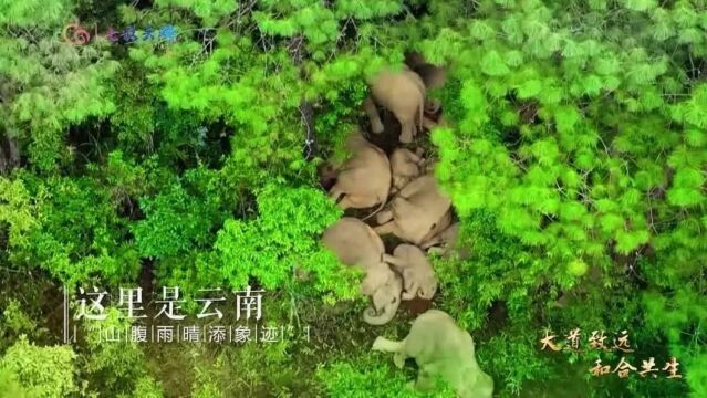 就在明天!共建“一带一路”高质量发展全国广电媒体云南调研活动即将启航