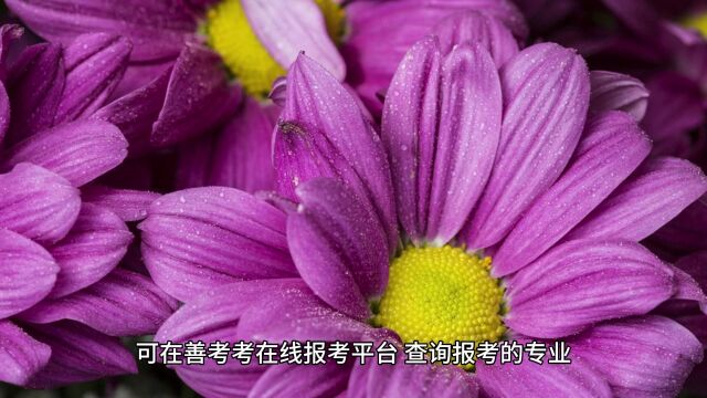 全国花境师证查询?花境师都要什么证