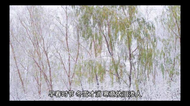 《娇女囚宠》姜臻小说全文在线阅读【完结无删减】