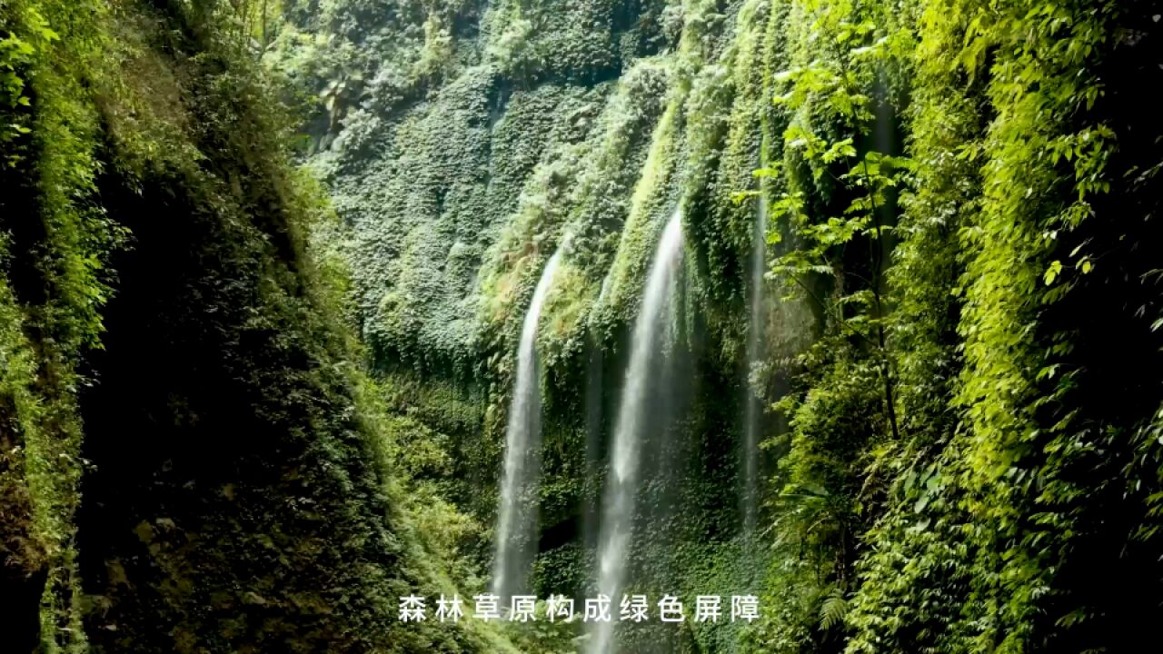 一同守护我们的绿色家园