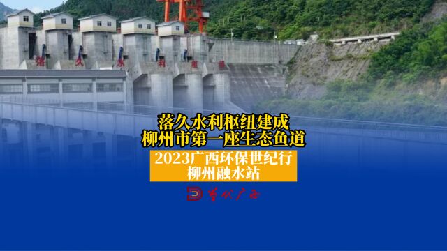 落久水利枢纽建成柳州市第一座生态鱼道