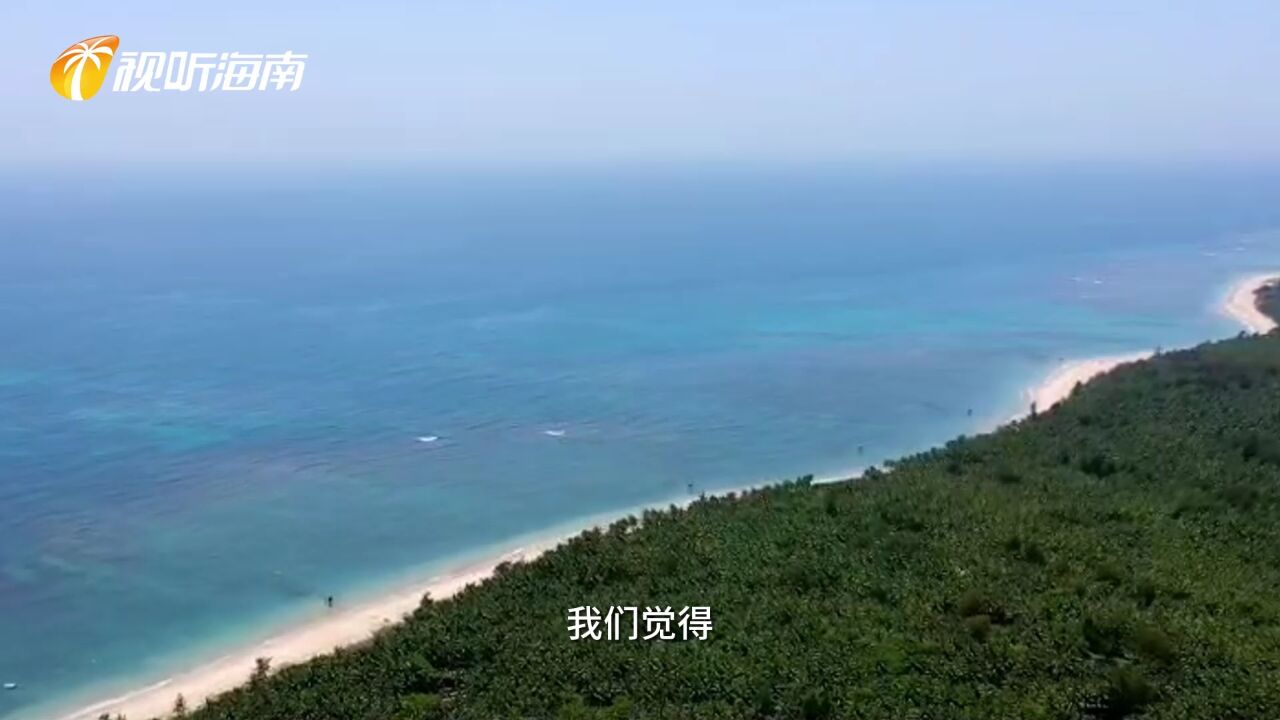 高质量发展调研行:文昌冯家湾加快打造南繁水产育种新基地