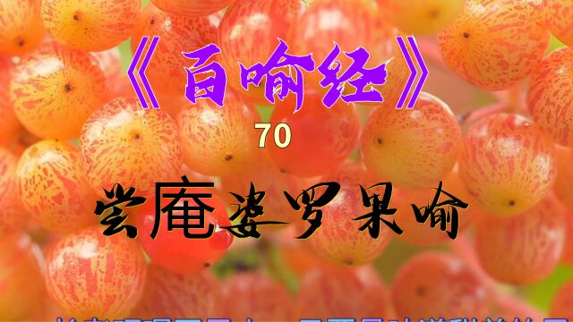 《百喻经》第70集尝庵婆罗果喻