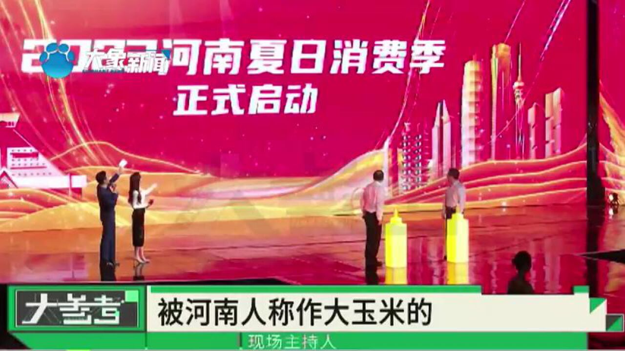 2023河南夏日消费季正式启动,乐享生活 豫见美好