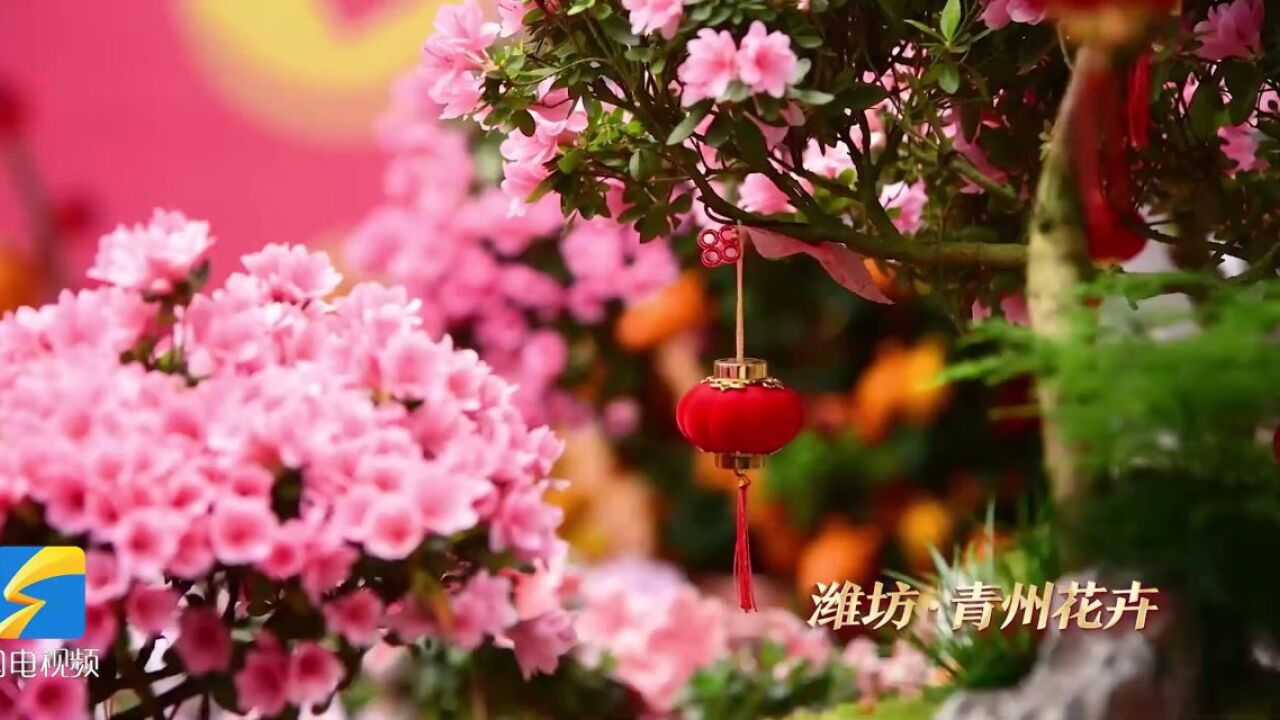 四季芳华,各有其美,好品山东与您相约四季!