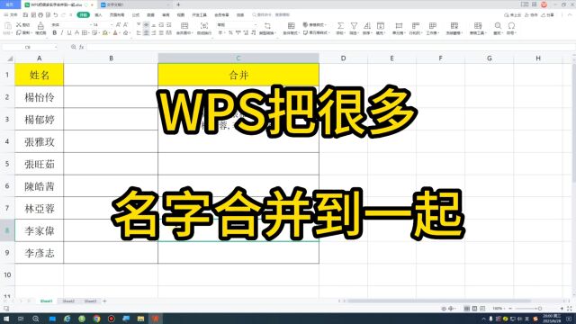 WPS把很多名字合并到一起03