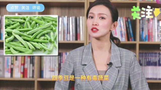 四季豆里含毒素吗