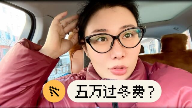 内蒙姑娘直呼过冬好贵想去南方,东北过冬需要准备多少钱?