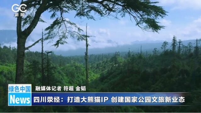 四川荥经:打造大熊猫IP 创建国家公园文旅新业态