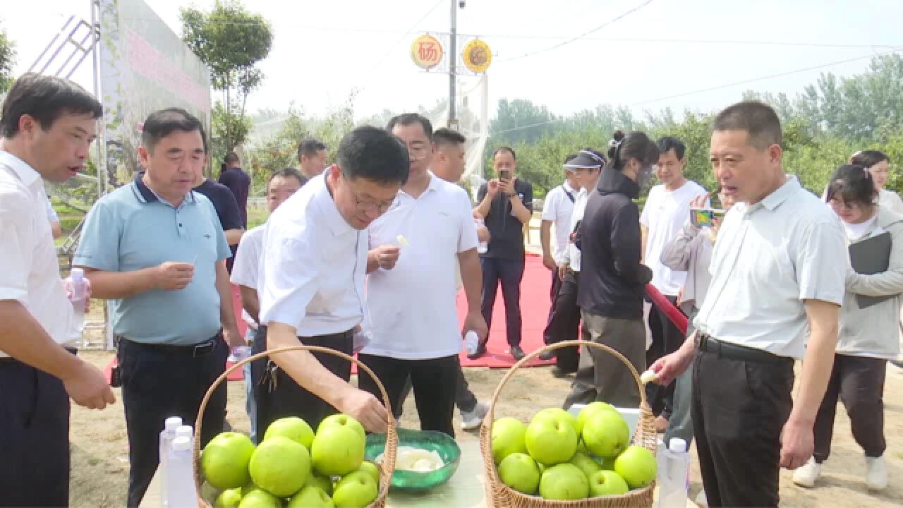 百果园优农道(北京)科技有限公司砀山梨基地开园