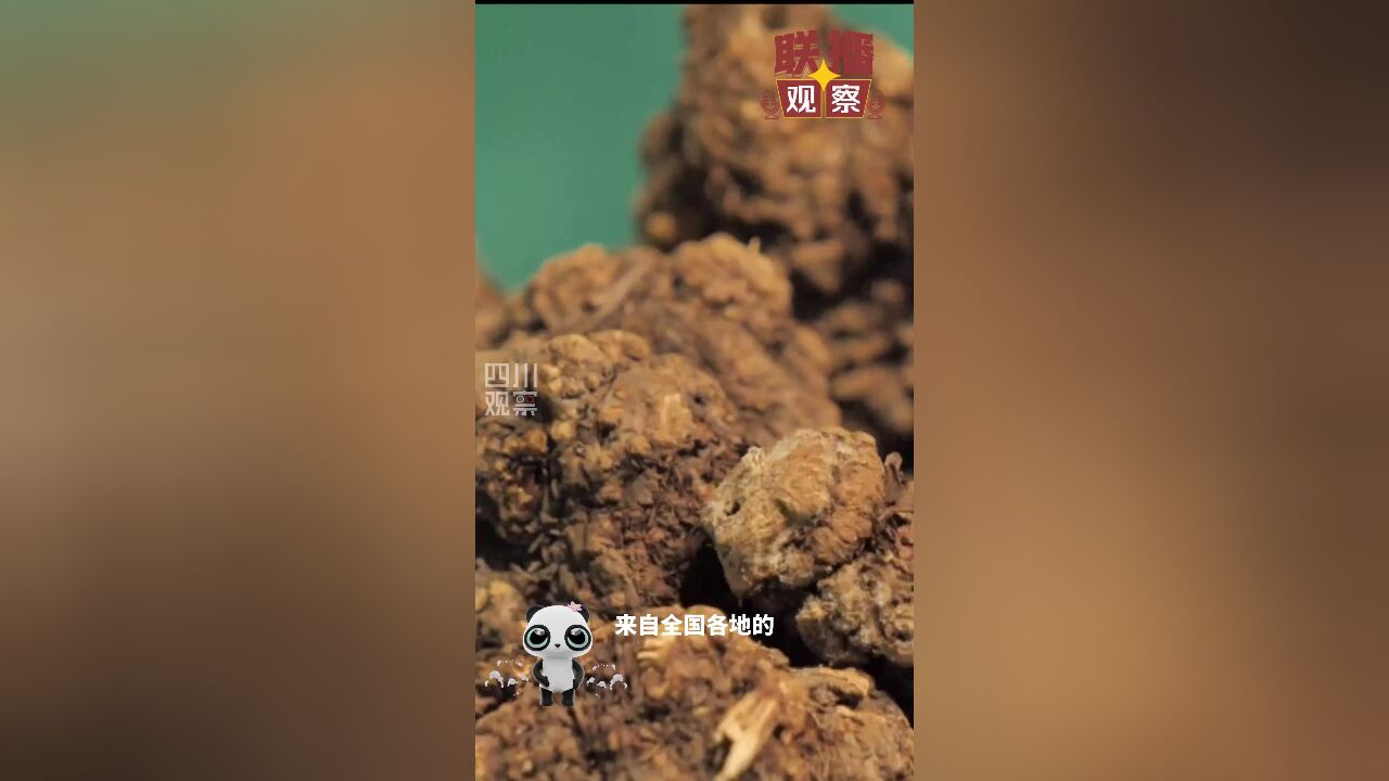 联播观察丨用中药调饮料 这个文化体验馆了解一下