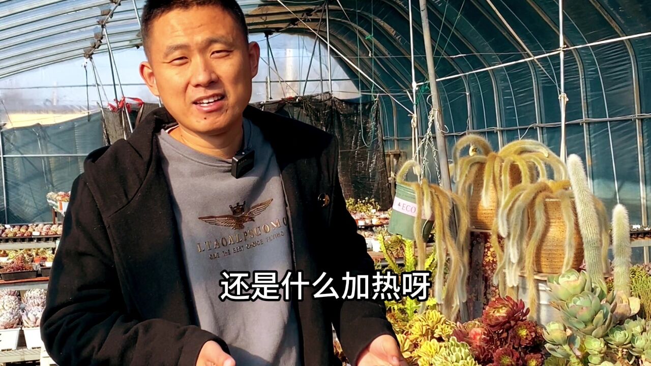 冬天的花卉多肉大棚是如何保温的?根据不同温度选择!