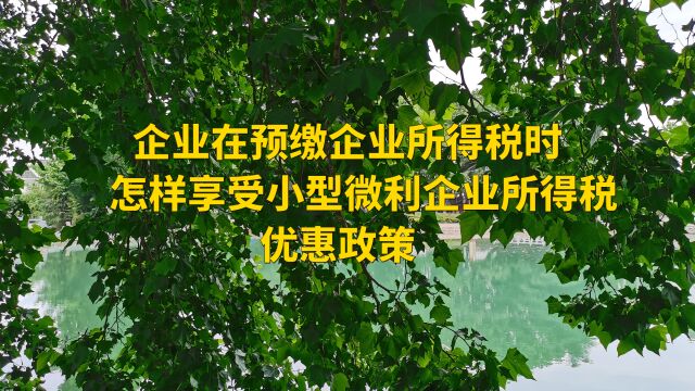 企业在预缴企业所得税时,怎样享受小型微利企业所得税优惠政策