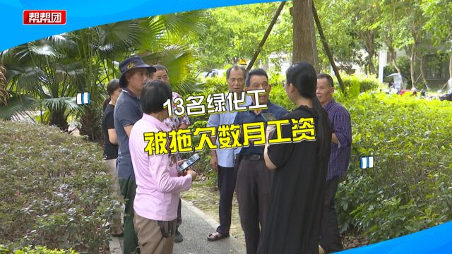 负责修剪小区绿化带 却被拖欠数月工资 工人愁坏:公司都搬走了