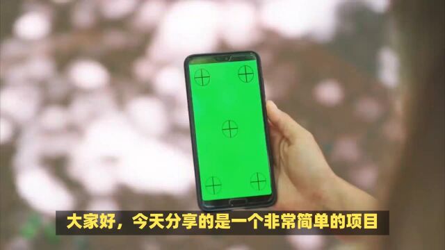 小红书p掉路人项目,在线接单日入500,非常简单适合新手