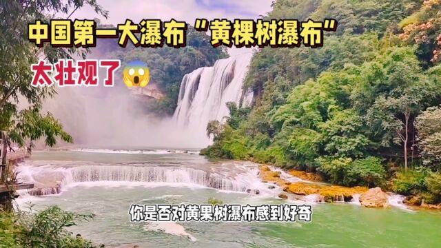 中国第一大瀑布“黄棵树瀑布”太壮观了#科谱 #旅游 #旅行随拍 #旅行 #旅游摄影