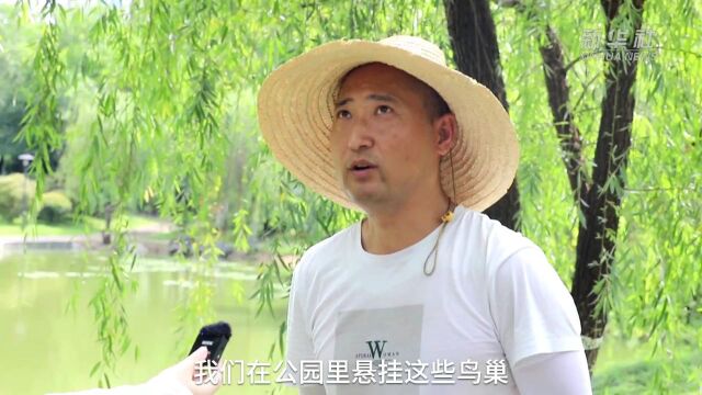 浙江金华:搭建人工鸟巢 为鸟儿“分新房”