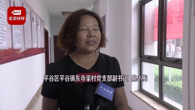 “理论微宣讲”市级示范团第三轮全市巡讲走进平谷