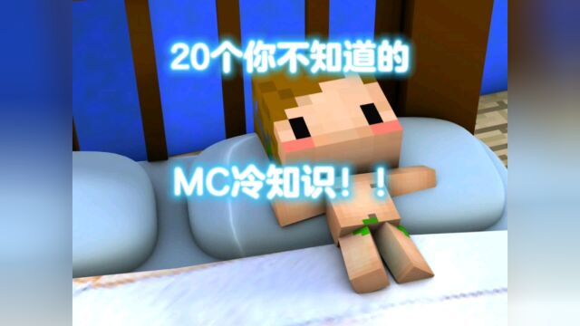 20个你不知道的MC冷知识