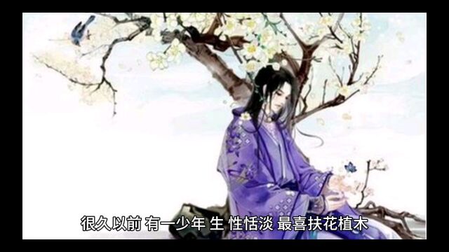 花之相思断肠红