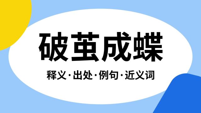 “破茧成蝶”是什么意思?